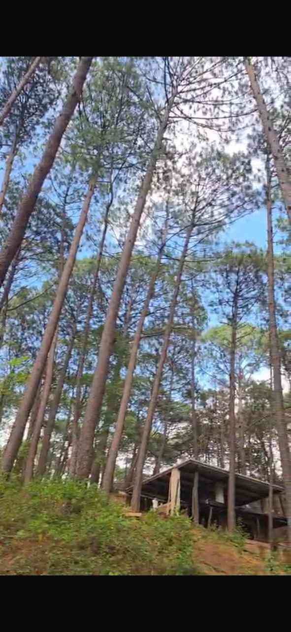 terreno en venta jilgueros  mazamitla jalisco pEYCtib