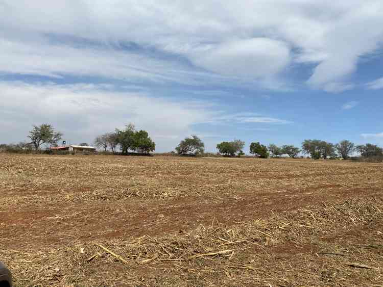 terreno en venta camino antiguo a seminario san antonio juanacaxtle juanacatlan jalisco pqiTz8x