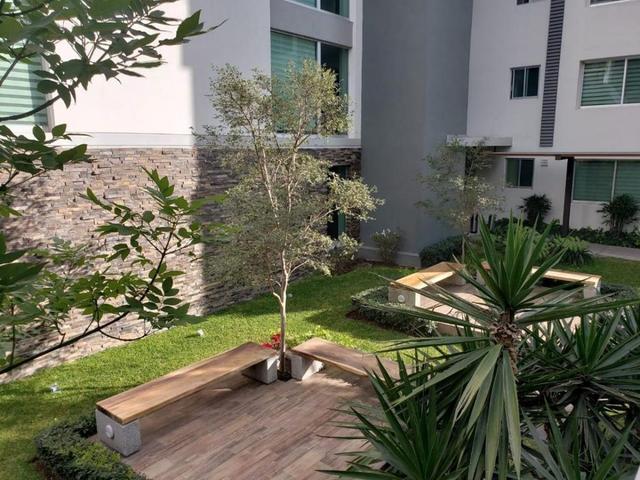 Foto de la galeria de imagenes