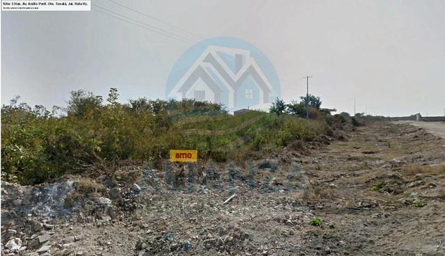 Foto de la galeria de imagenes