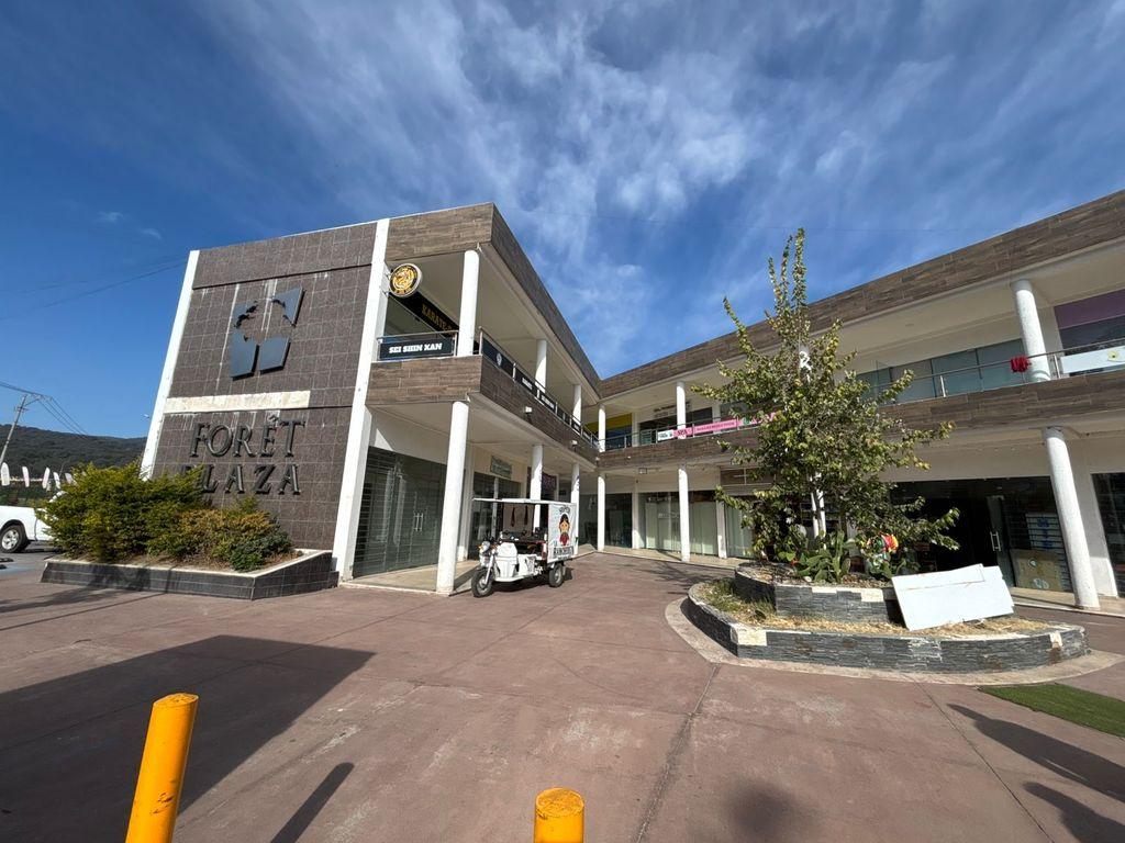 Foto de la galeria de imagenes