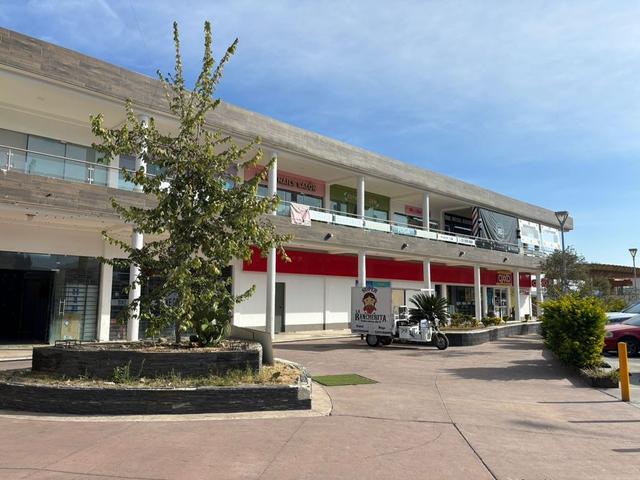 Foto de la galeria de imagenes