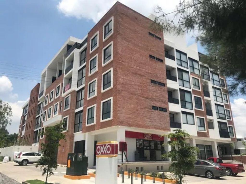 Foto de la galeria de imagenes