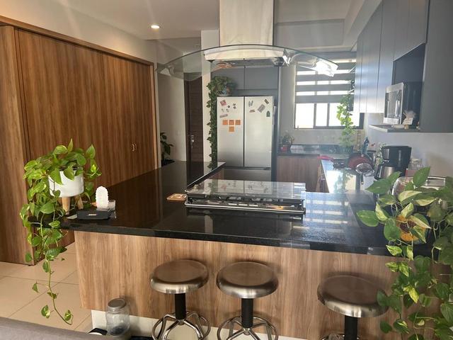 Foto de la galeria de imagenes