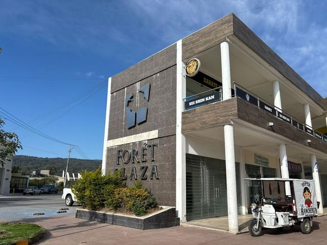 Foto de la galeria de imagenes