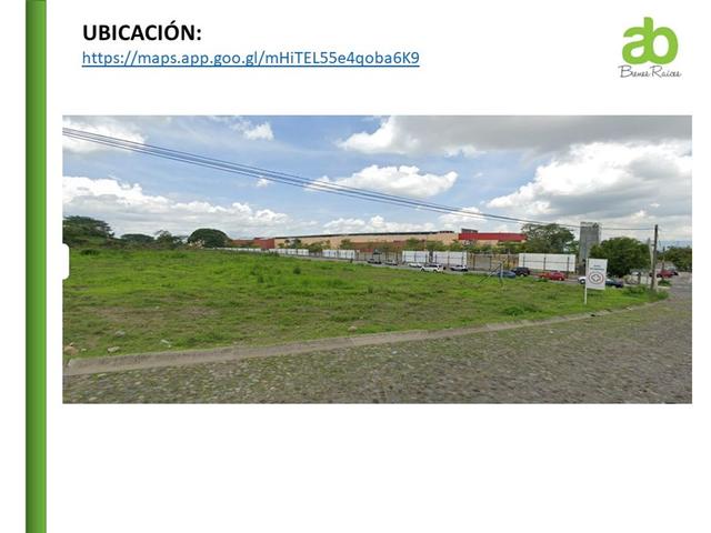 Foto de la galeria de imagenes