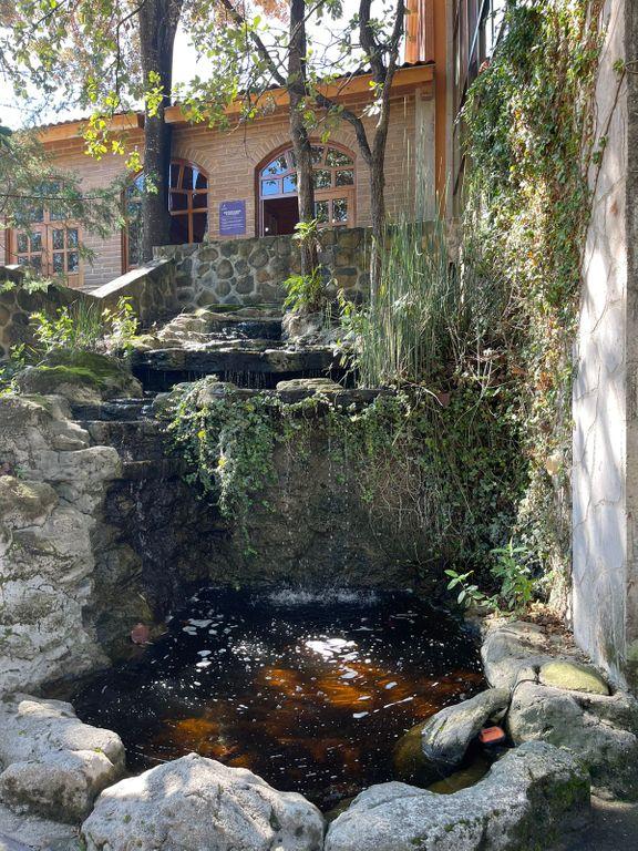 Foto de la galeria de imagenes
